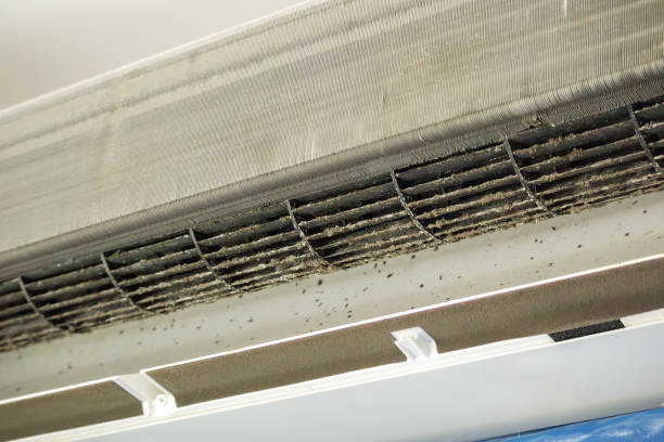 Best Professional Duct Cleaning Services  in Dunnellon, FL